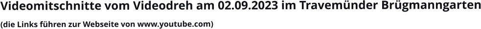 Videomitschnitte vom Videodreh am 02.09.2023 im Travemünder Brügmanngarten(die Links führen zur Webseite von www.youtube.com)